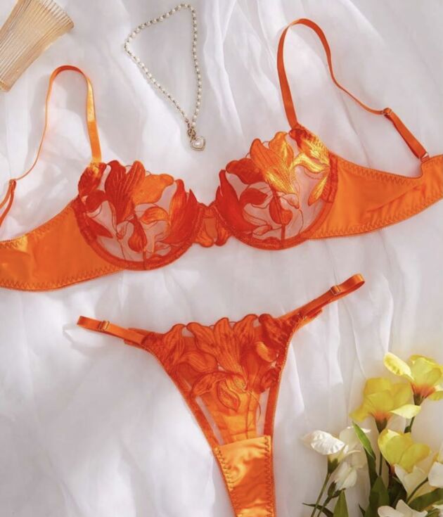 2 pièces de lingerie